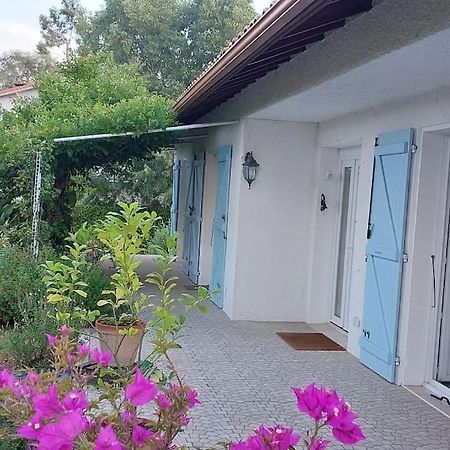 Villa De Charme Avec Piscine Saint-Jory Luaran gambar